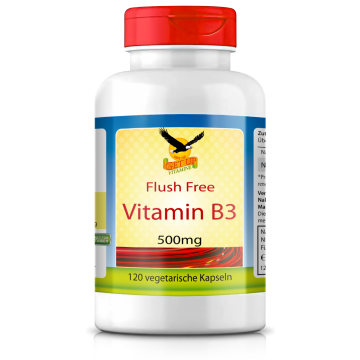 Vitamin B3 hier bestellen